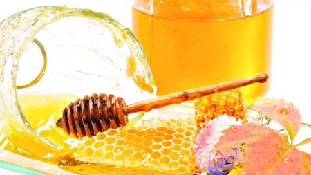Народная медицина: чудотворный мёд